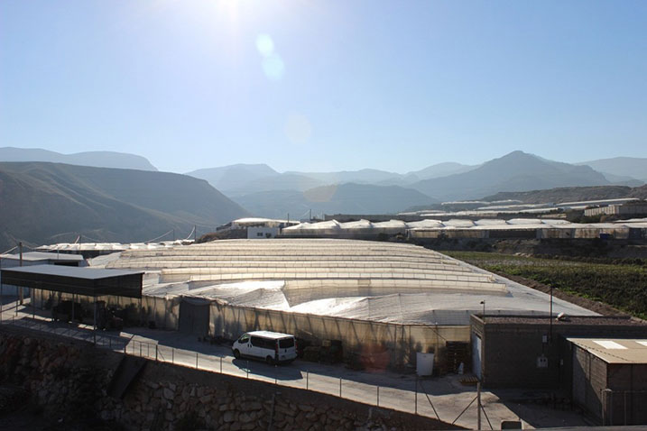 seguro agrícola