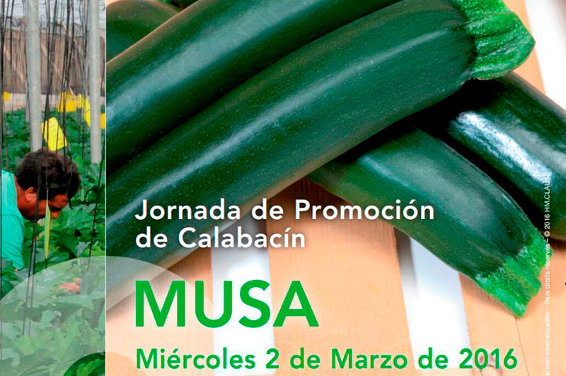 Día 2 de marzo. Jornada de promoción de calabacín Musa de HM Clause