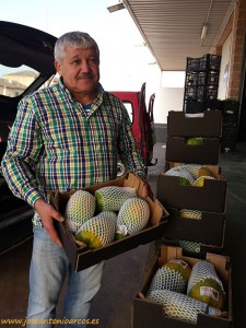 Manuel Ramón Berenguel, productor almeriense de papaya