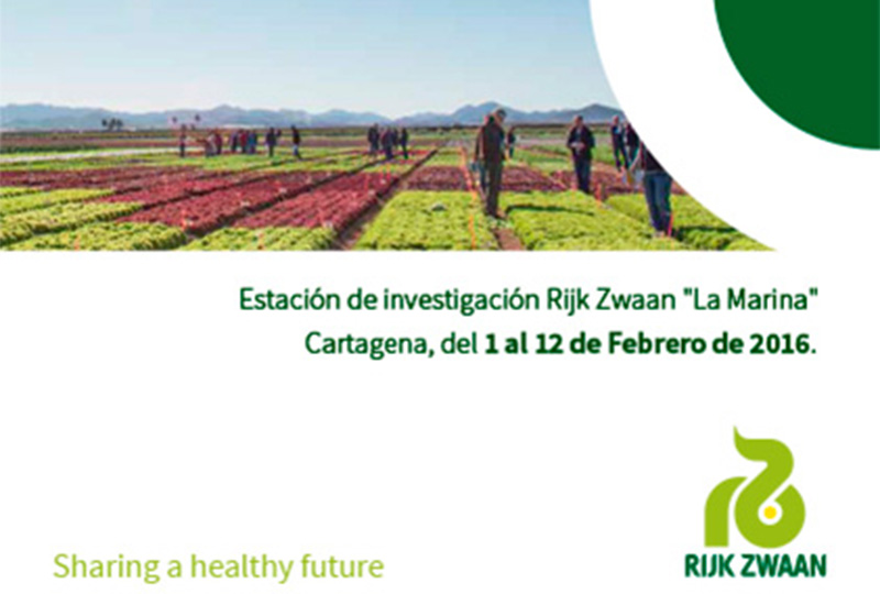 Del 1 al 12 de febrero. Jornadas de cultivos de invierno de Rijk Zwaan en Murcia