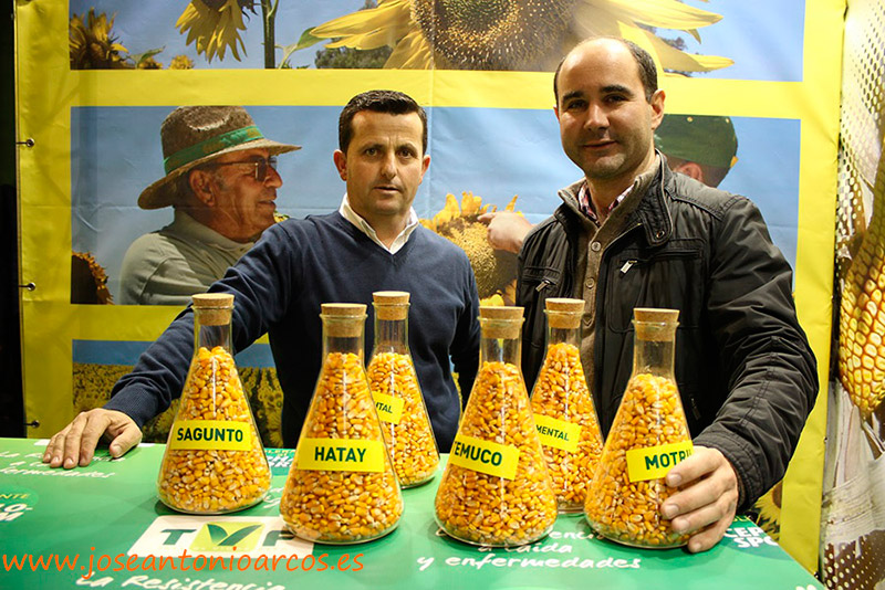 Fitó lleva a las ferias de Zaragoza y Bajadoz su oferta en grandes cultivos, como maíz