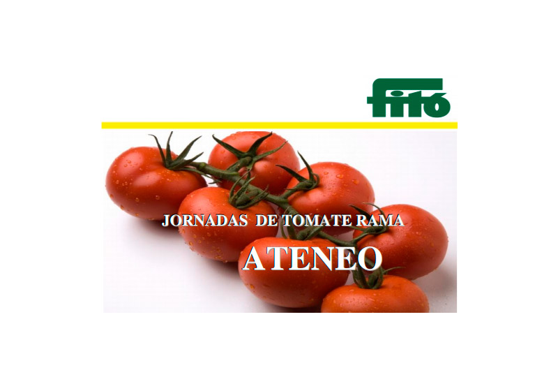 Días 9 y 10 de febrero. Jornadas de tomate rama de Fitó