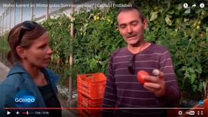reportera alemana en un invernadero de tomate de Almería