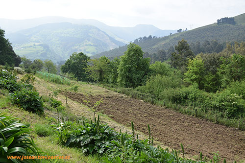 La Vizcaya agrícola. Descubriendo sus valles interiores (vídeo)