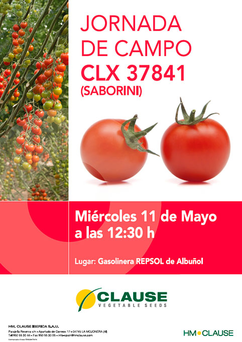 Día 11 de mayo. Jornada de tomate de HM Clause en Albuñol