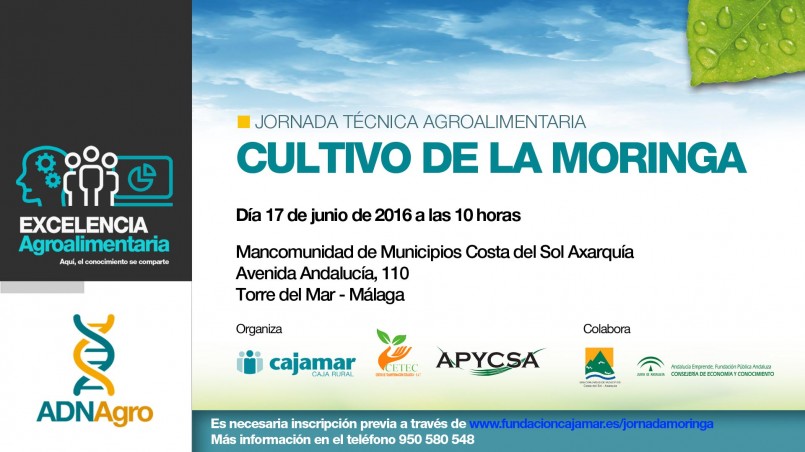 Día 17 de junio. Jornada ‘Cultivo de la moringa’. Málaga
