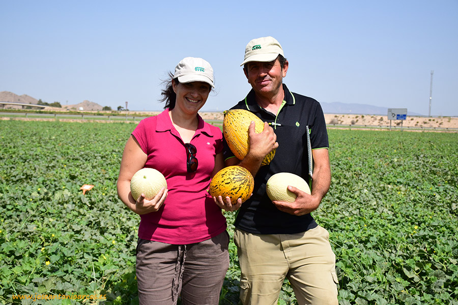 Los melones que comen en Portugal y Turquía. Branco y Kirkagaç