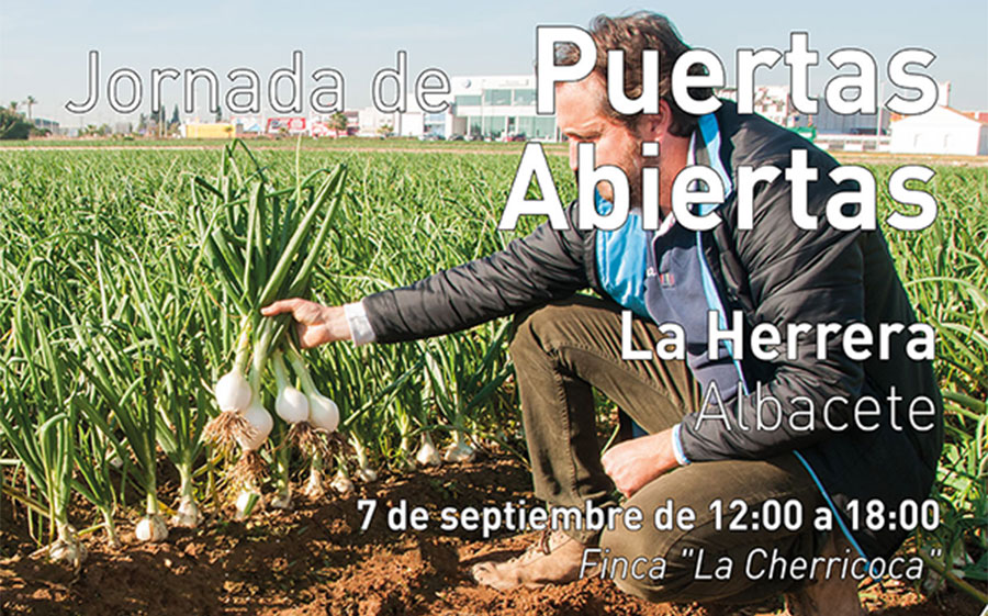 Día 7 de septiembre. Jornada de puertas abiertas de cebollas de Bejo. Albacete