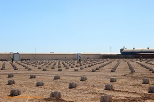 Construcción de nuevos invernaderos en Vícar, Roquetas de Mar, La Mojonera, Almería.
