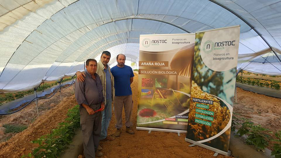 Nostoc difunde los conceptos de la bioagricultura en Huelva, Granada y Almería