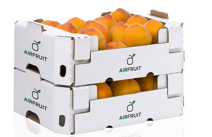 El sistema de transporte Airfruit logra enfriar más rápido la fruta