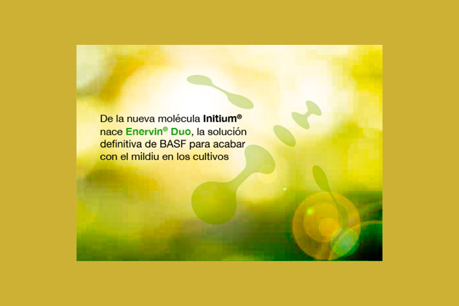 Día 18 de octubre. BASF Agro España presentará su nueva solución contra el mildiu