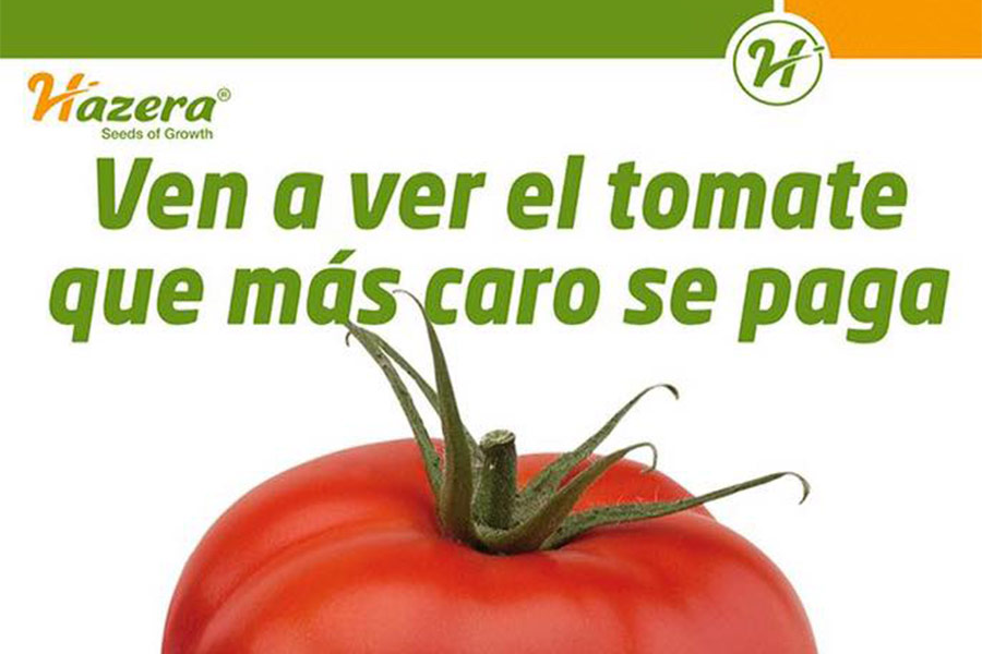 Día 1 de diciembre. Jornada de tomate de Hazera en Málaga