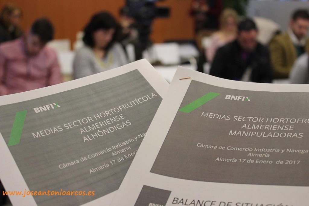 Informa hortofrutícola de la consultora almeriense AMB-BNFIX.