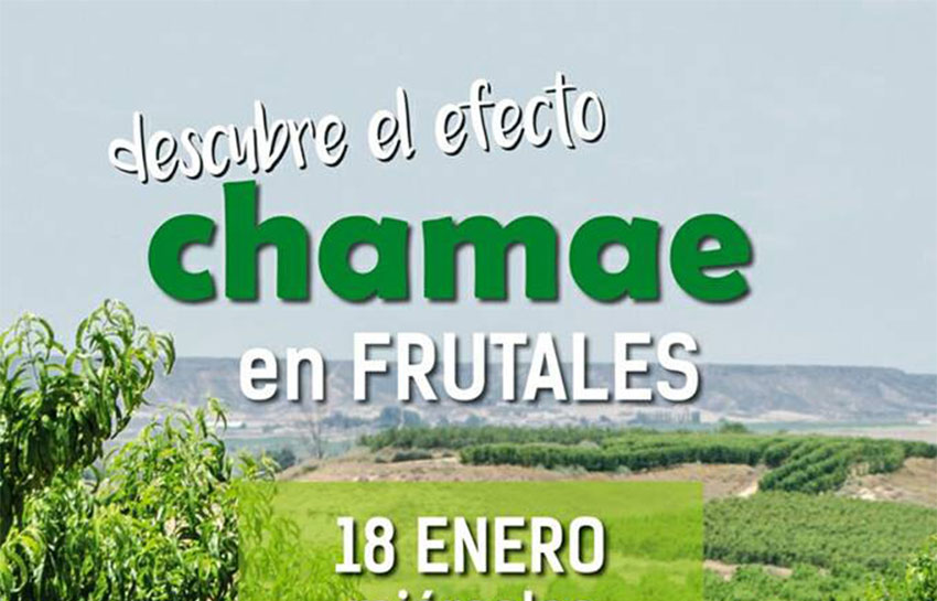 Día 18 de enero. «Descubre el efecto Chamae en frutales». Huesca