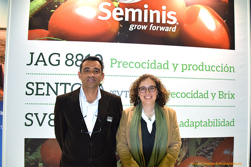 Seminis introduce nuevas variedades tempranas en el tomate de industria