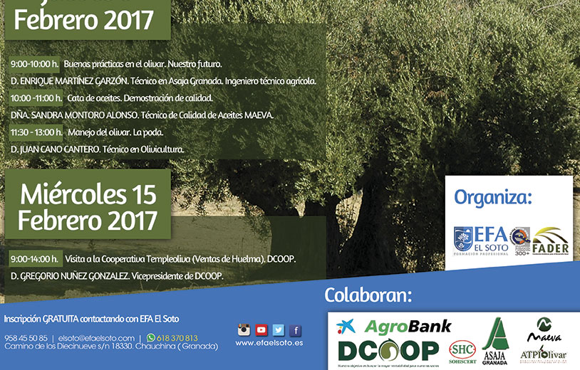 Días 8, 12 y 15 de febrero.  Jornadas 'Olivicultura: Un futuro de calidad'. EFA El Soto