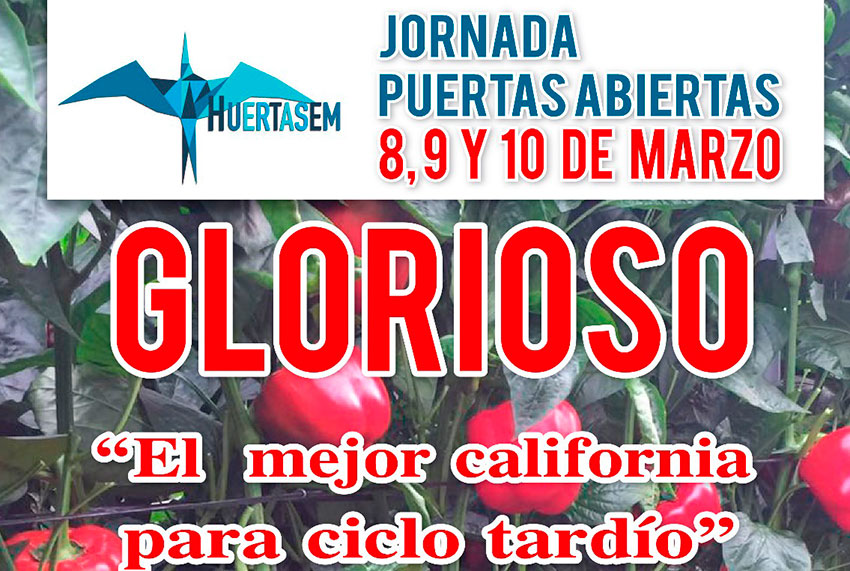 Días 8, 9 y 10 de marzo. Jornada de puertas abiertas  pimiento california rojo de Huertasem