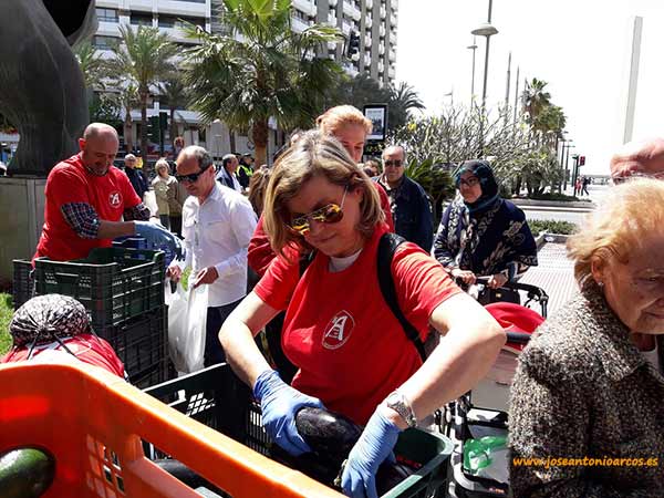 Reparto gratuito de hortalizas de Agricultura Viva en Acción en la ciudad de Almería.