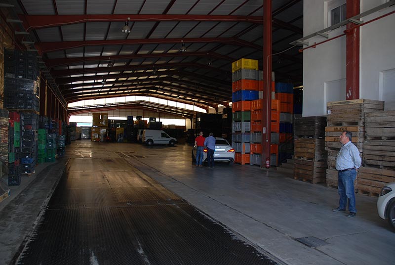 Grupo Agroponiente abrirá un nuevo centro logístico en Guadix