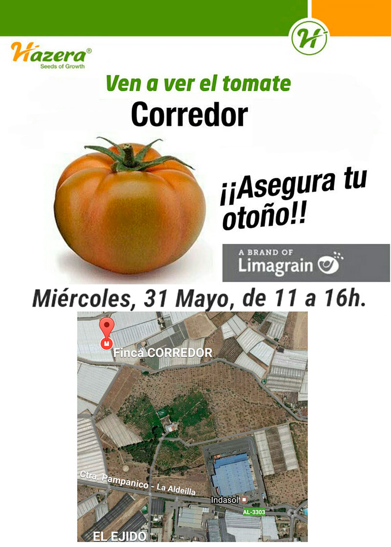 Día 31 de mayo. Jornada de tomate Corredor de Hazera