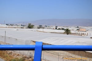 Un problema crónico: el agua de riego en la vega del Andarax