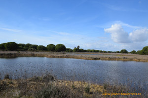 Entorno del Parque Nacional de Doñana, en Huelva.