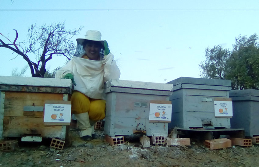 Arranca el Aula Apícola y Medioambiental Bee Garden