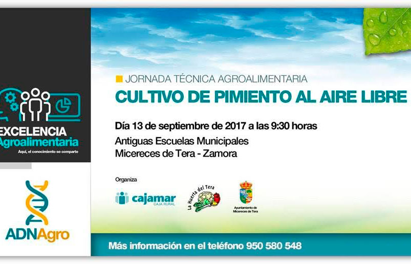 Día 13 de septiembre. Jornada 'Cultivo de pimiento al aire libre'. Zamora