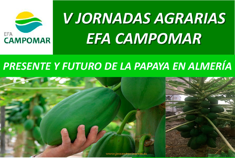 Día 27 de septiembre. V Jornadas Agrarias EFA Camponar. La papaya en Almería