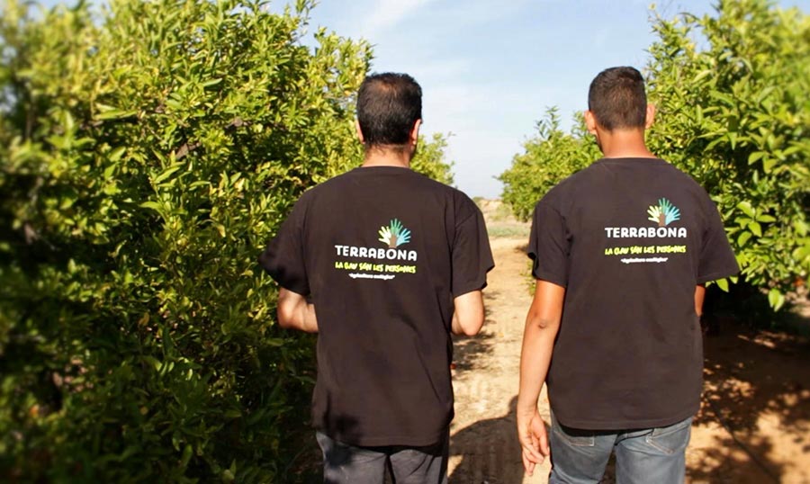 Cooperativas con compromiso social: la valenciana Terrabona
