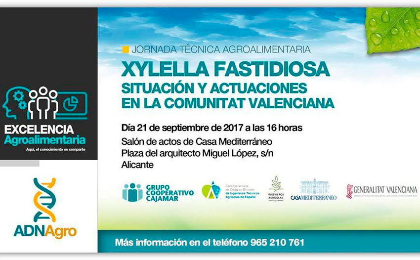 Día 21 de septiembre. Jornada sobre la Xylella fastidiosa. Alicante
