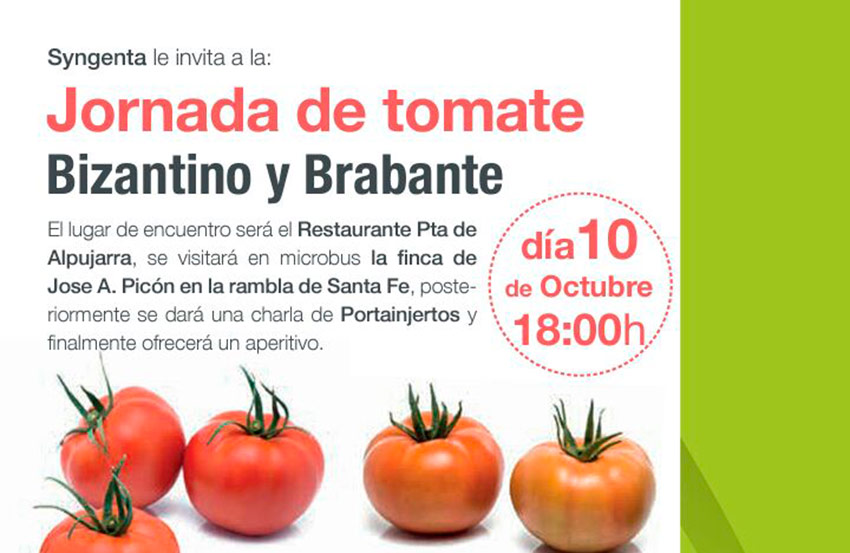 Día 10 de octubre. Jornada de tomate Bizantino y Brabante