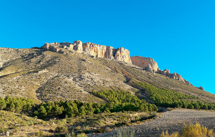 Restauración del paisaje de La Solana de La Muela (Los Vélez)