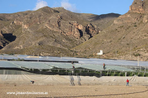 Arreglando invernaderos tras el paso del temporal Ana por Almería.