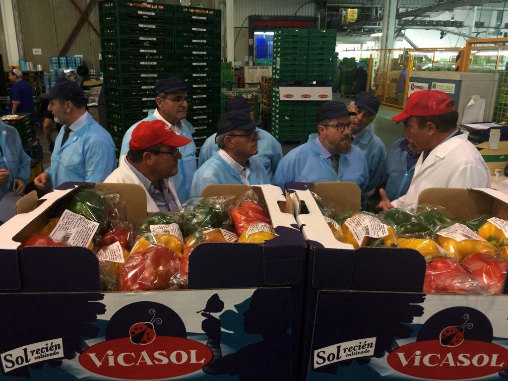 El consejero de Agricultura de Andalucía visita las instalaciones de la cooperativa almeriense VICASOL.