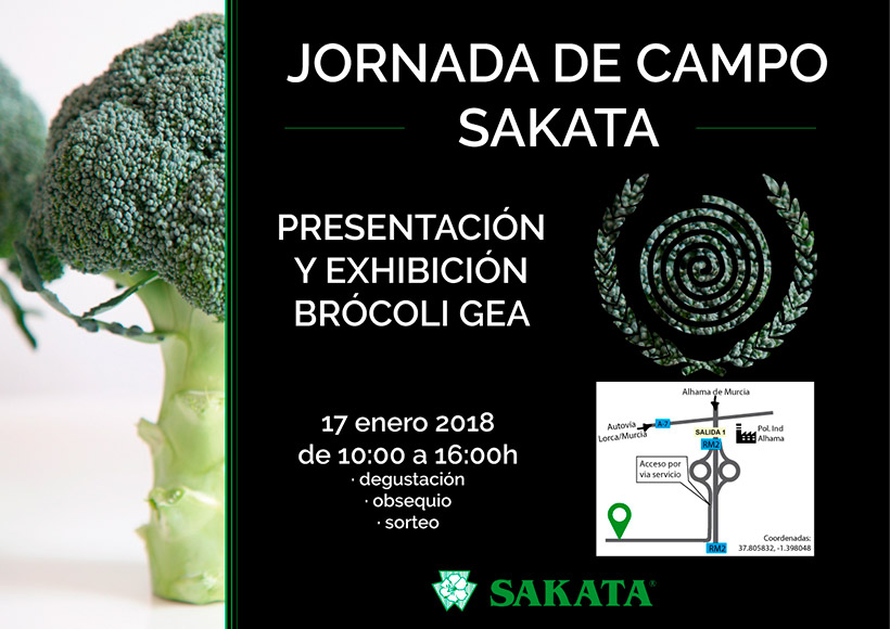 Día 17 de enero. Jornada de campo de brócoli de Sakata. Murcia