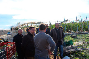 Visita de representantes de la Junta de Andalucía a la zona agrícola afectada por el tornado sufrido el 6 de enero de 2018 en invernaderos de El Ejido, Almería.