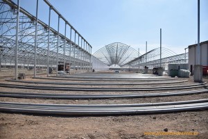 Construcción de un nuevo semillero. El Plantel en El Ejido, Almería.