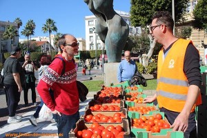 Reparto gratuito de tomate por los bajos precios. UPA-Almería.
