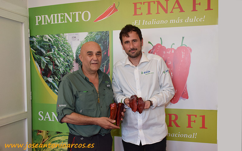 Axia introduce sus primeras variedades en Almería