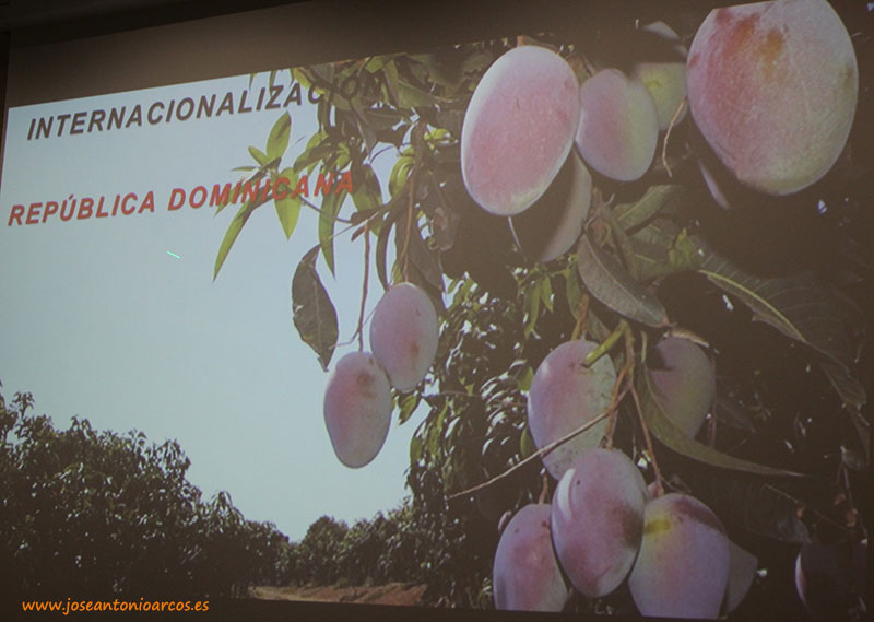 Biosabor amplía con papaya y mango de República Dominicana