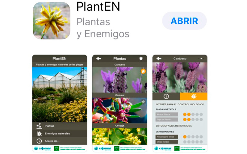 La aplicación móvil del control biológico, la app PlantEN