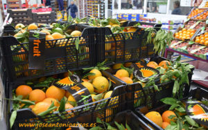 Naranjas almerienses en Mercamadrid.