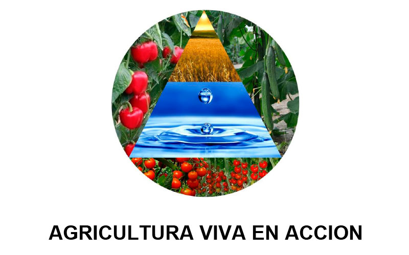 Día 19 de octubre. Asamblea de Agricultura Viva en Acción en San Agustín