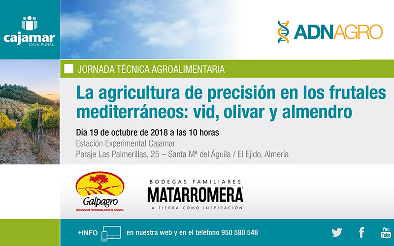 Día 19 de octubre. La agricultura de precisión en los frutales mediterráneos: vid, olivar y almendro
