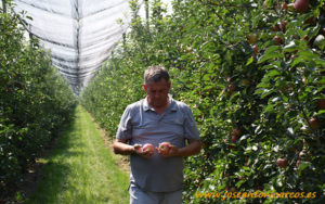 Manzanas de Ciric Agro en Serbia.