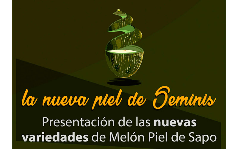 Día 12 de diciembre. Novedades de melón de Seminis. Murcia