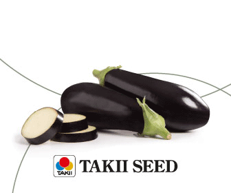 SIDE BAR TAKII SEED