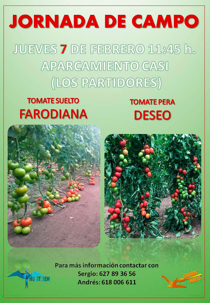 Día 7 de febrero. Jornada de tomate de Huertasem y LLavors Horta